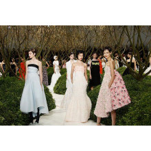 Сублім елегантність Dior на Paris Fashion Week осінь-зима 2013-2014